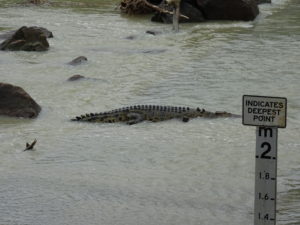 So lang das Kroki, so breit die Strasse. Ja das ist die Strasse...