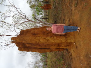 Einer von Tausenden Termitenhügeln aus dem Kakadu NP